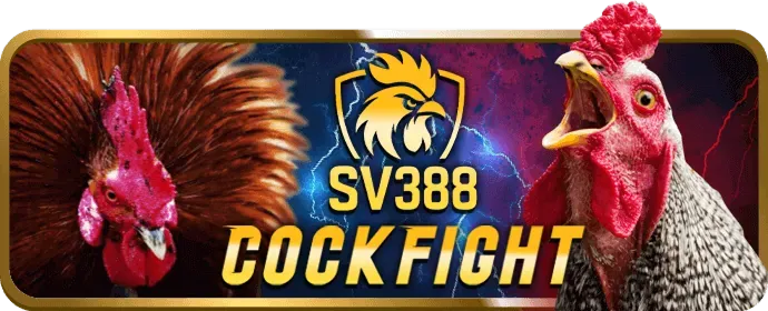 Cá cược thể thao vin 68